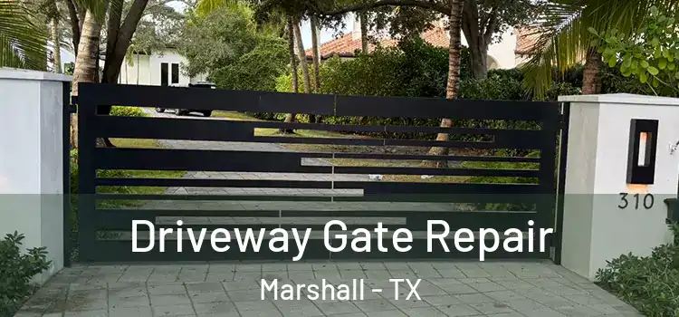  Driveway Gate Repair Marshall - TX