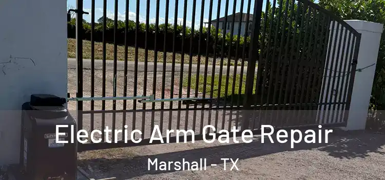 Electric Arm Gate Repair Marshall - TX
