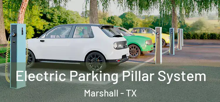 Electric Parking Pillar System Marshall - TX