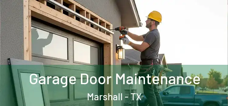 Garage Door Maintenance Marshall - TX