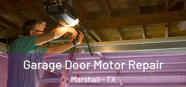  Garage Door Motor Repair Marshall - TX