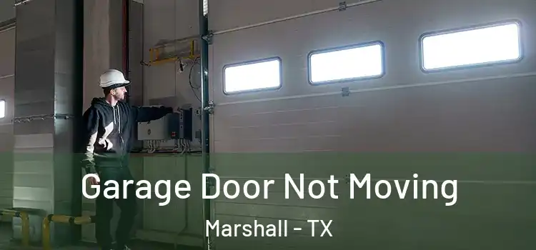  Garage Door Not Moving Marshall - TX