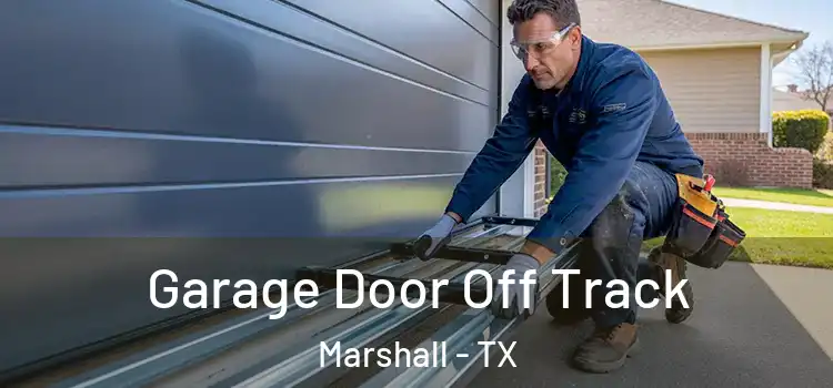  Garage Door Off Track Marshall - TX