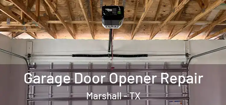  Garage Door Opener Repair Marshall - TX