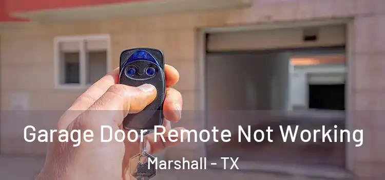 Garage Door Remote Not Working Marshall - TX