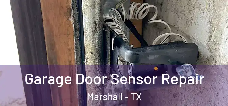 Garage Door Sensor Repair Marshall - TX