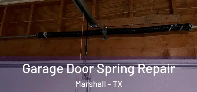  Garage Door Spring Repair Marshall - TX