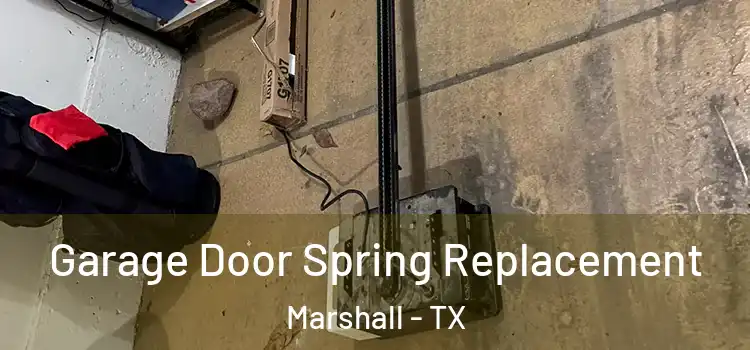  Garage Door Spring Replacement Marshall - TX