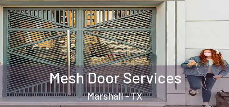  Mesh Door Services Marshall - TX