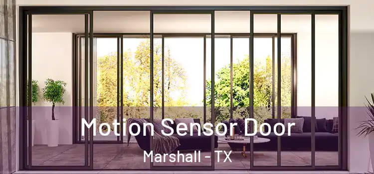 Motion Sensor Door Marshall - TX