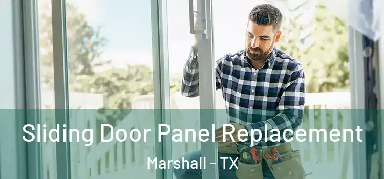  Sliding Door Panel Replacement Marshall - TX